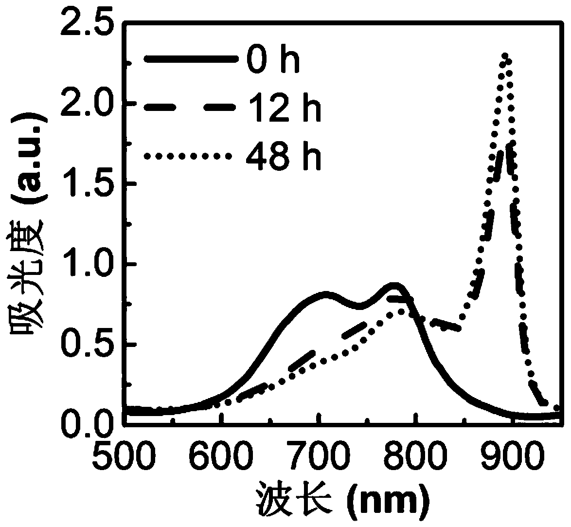 Compound nanometer micelle for packaging dye J aggregate and preparing method and application of micelle