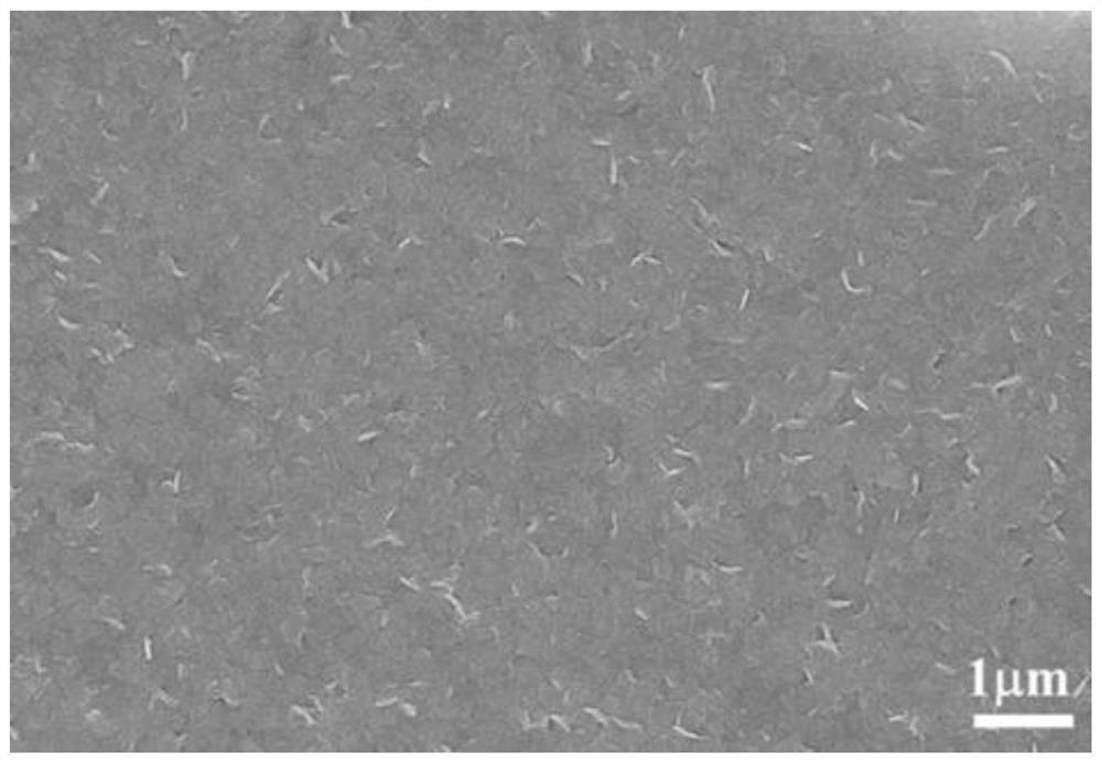 Lanthanide fluoride two-dimensional nanosheet membrane and preparation method and application thereof