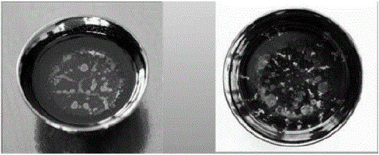 Tianmu Glazed Porcelain and Its Firing Method