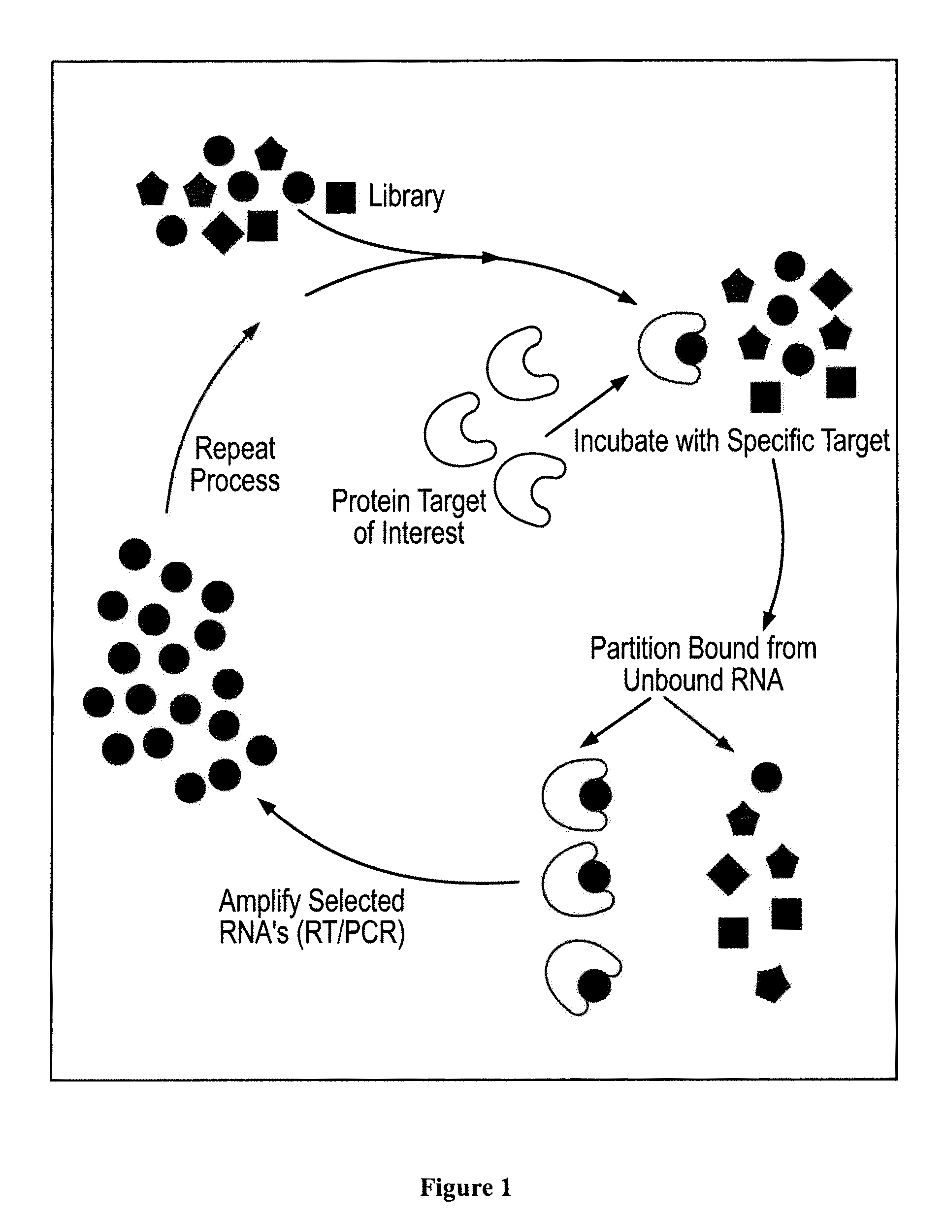 Nucleic acid modulators of glycoprotein VI