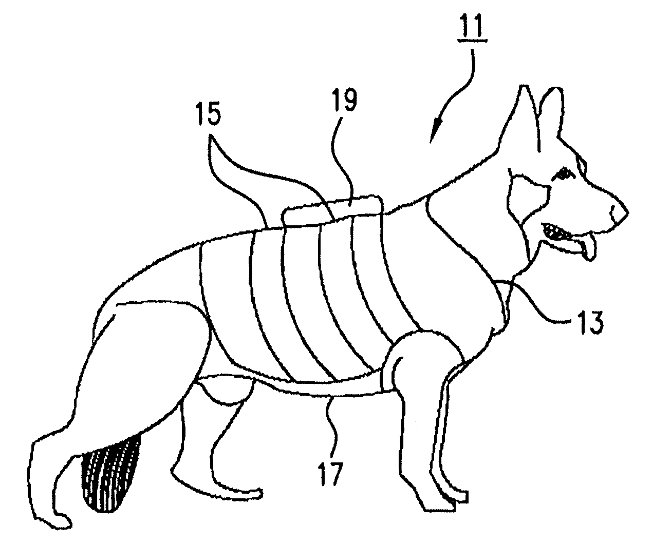 Systems and methods for non-invasive physiological monitoring of non-human animals