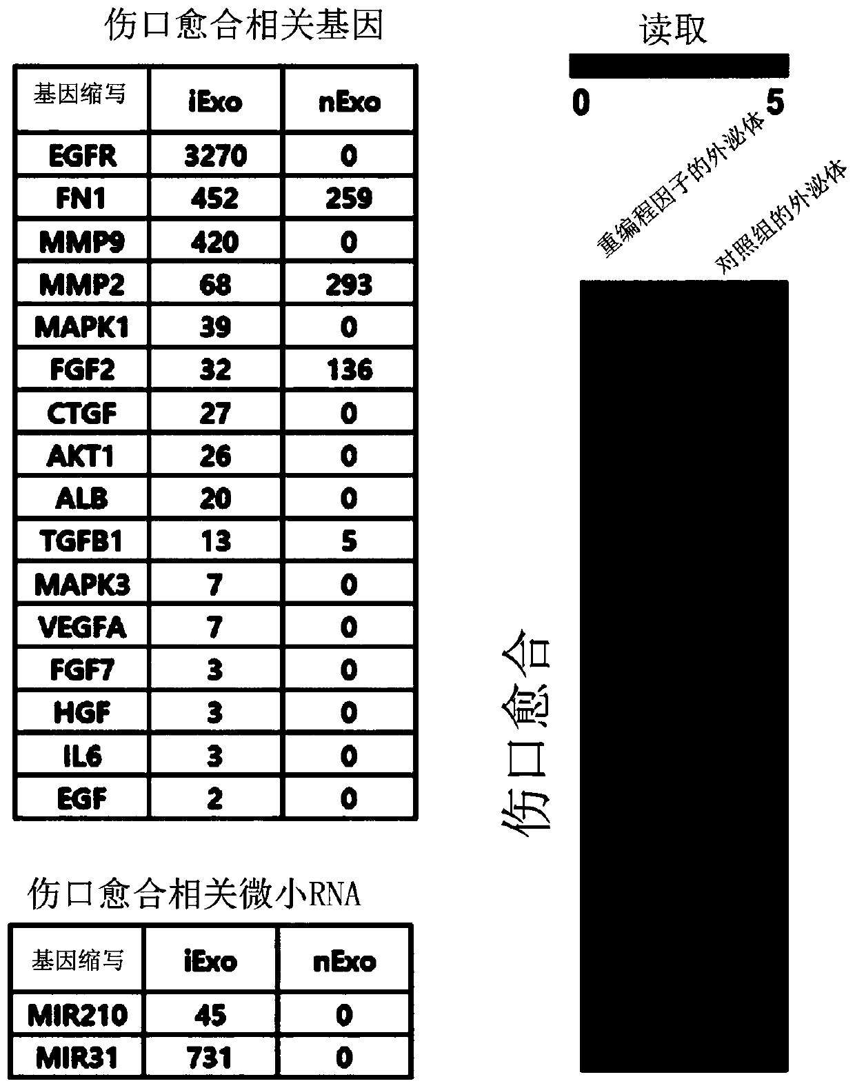 Composition for tissue regeneration and wound healing comprising induced exosomes