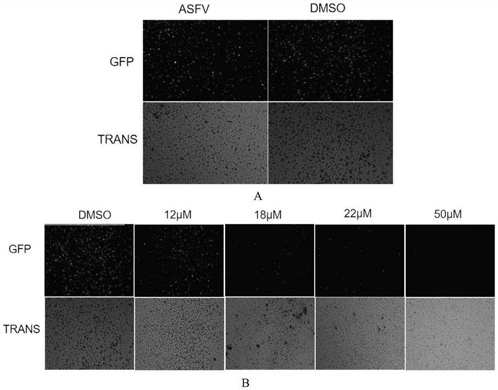 Application of compound cyproheptadine hydrochloride in preparation of medicine for preventing or treating African swine fever