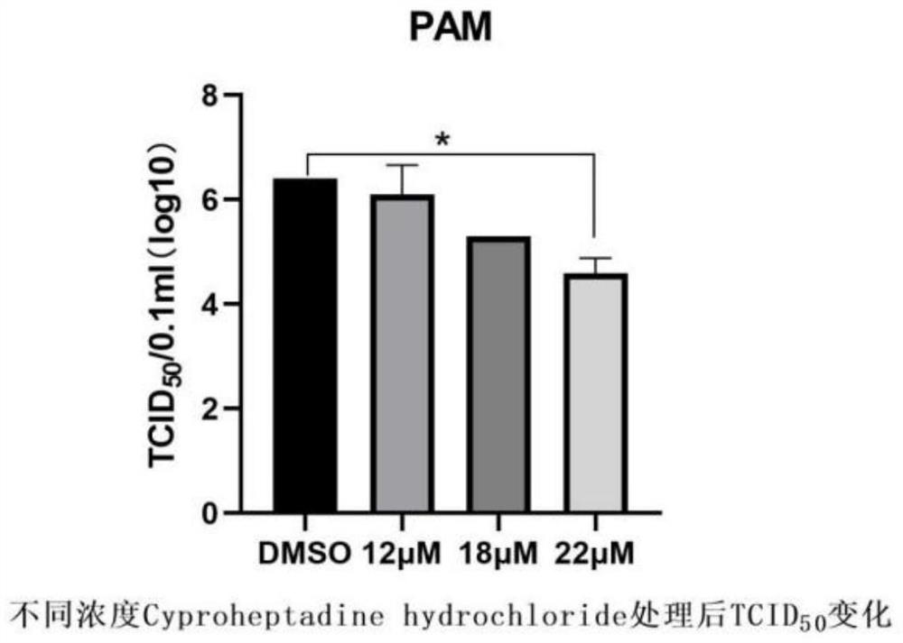 Application of compound cyproheptadine hydrochloride in preparation of medicine for preventing or treating African swine fever