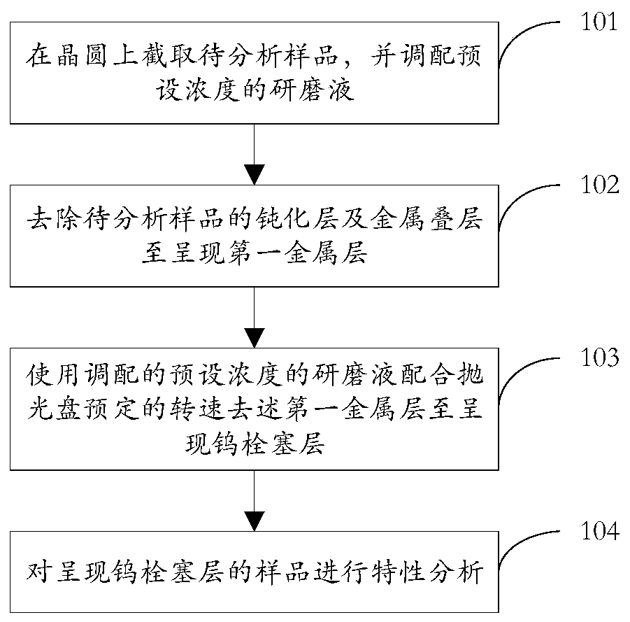 Analysis method of semiconductor characteristics for preventing tungsten plug corrosion