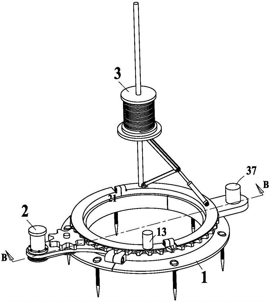 Rope winding machine used for trees