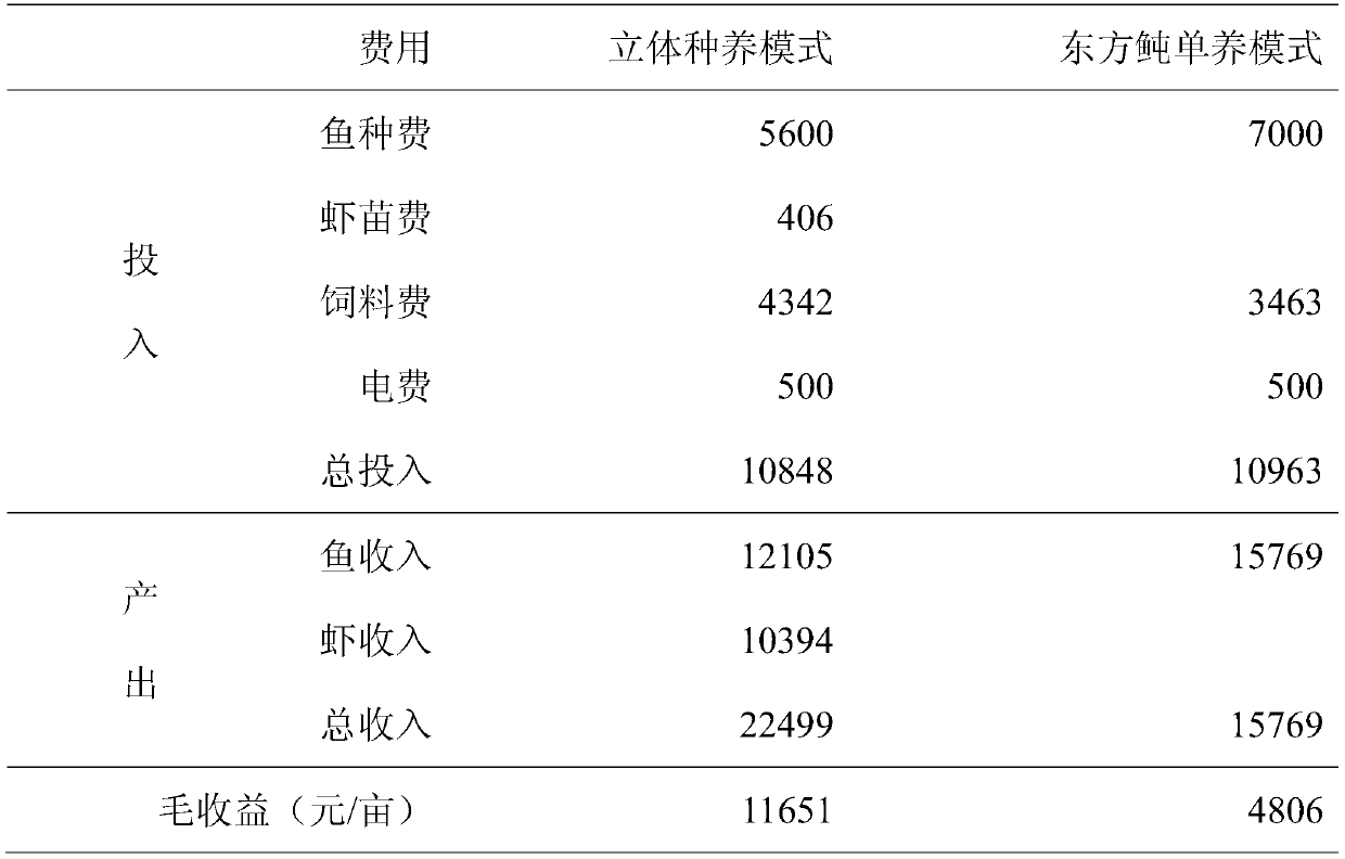 Three-dimensional planting and raising method of takifugu obscurus, penaeus vannamei and ipomoea aquatica