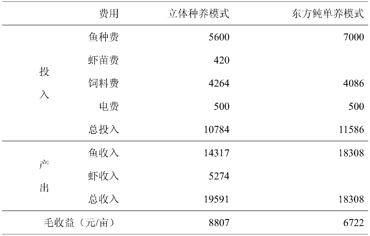 Three-dimensional planting and raising method of takifugu obscurus, penaeus vannamei and ipomoea aquatica