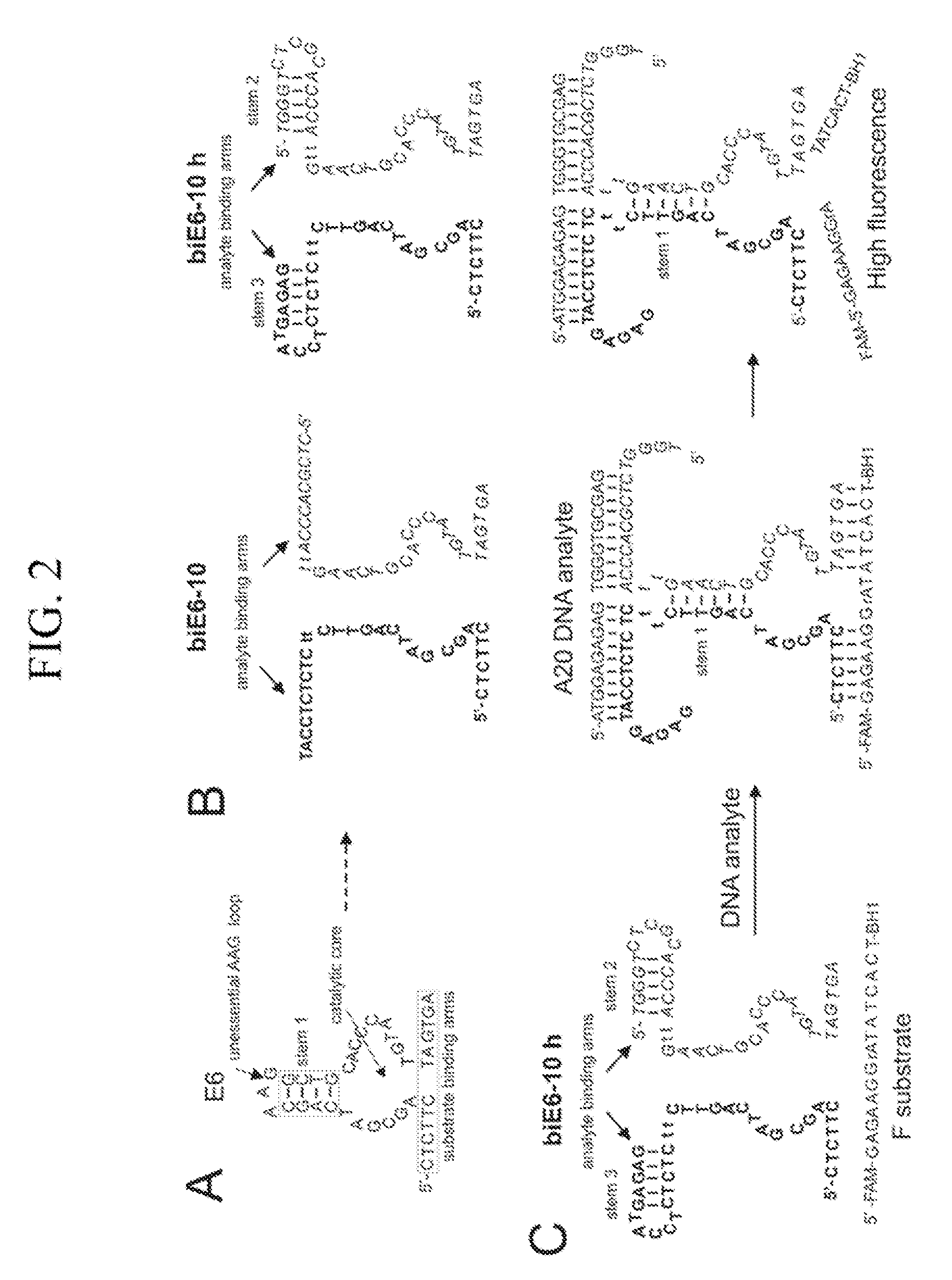 Binary deoxyribozyme probes for nucleic acid analysis