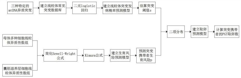 Method for predicting mitochondrial DNA mutation threshold, fertility risk and egg taking number