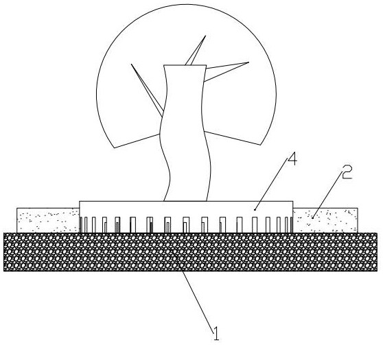 Shallow soil layer tree fixing structure and method