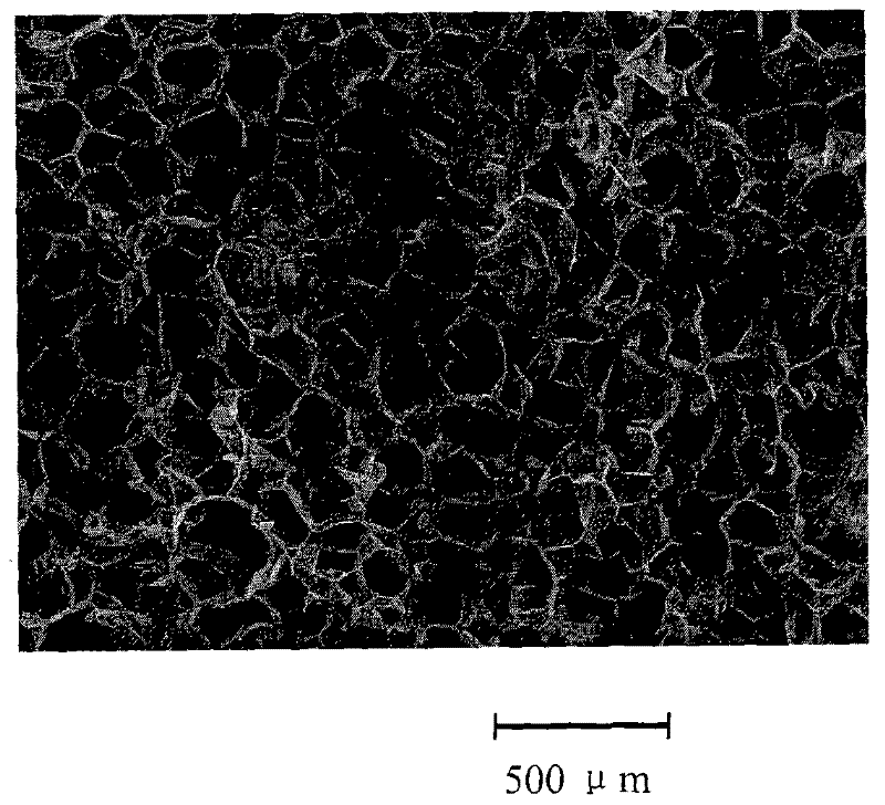 Polypropylene foaming material and production method thereof