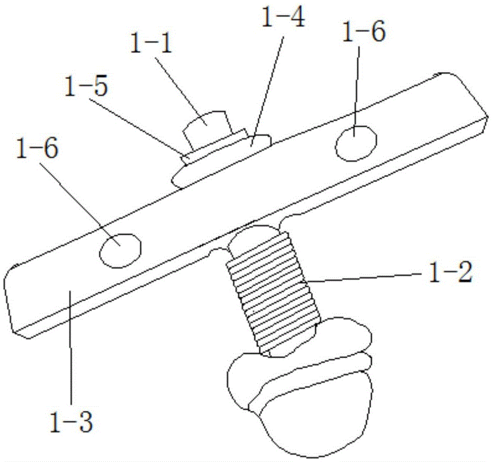 Electroencephalogram electrode cap