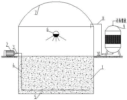 Bioremediation method of organic matter contaminated soil