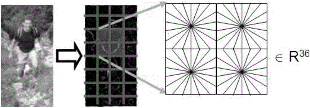 Vehicle pedestrian-avoiding detection method based on video analysis