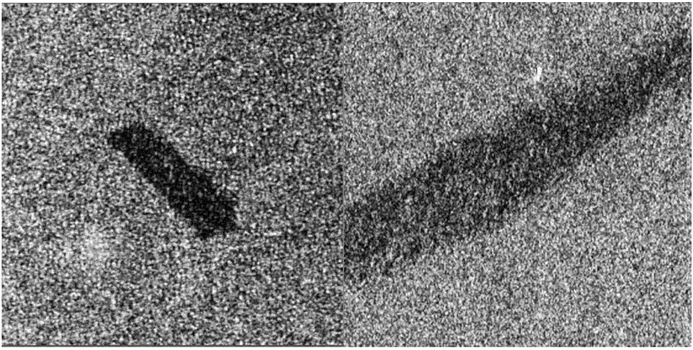 Method for detecting oil spill at sea based on full-polarized synthetic aperture radar image