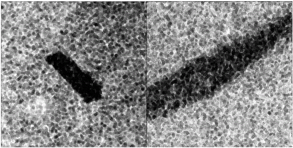 Method for detecting oil spill at sea based on full-polarized synthetic aperture radar image