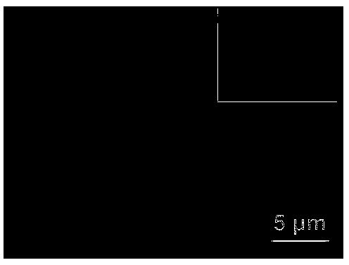 Preparation method of positive material for cobalt nitride/porous carbon plate/carbon cloth self-supported lithium-sulfur battery