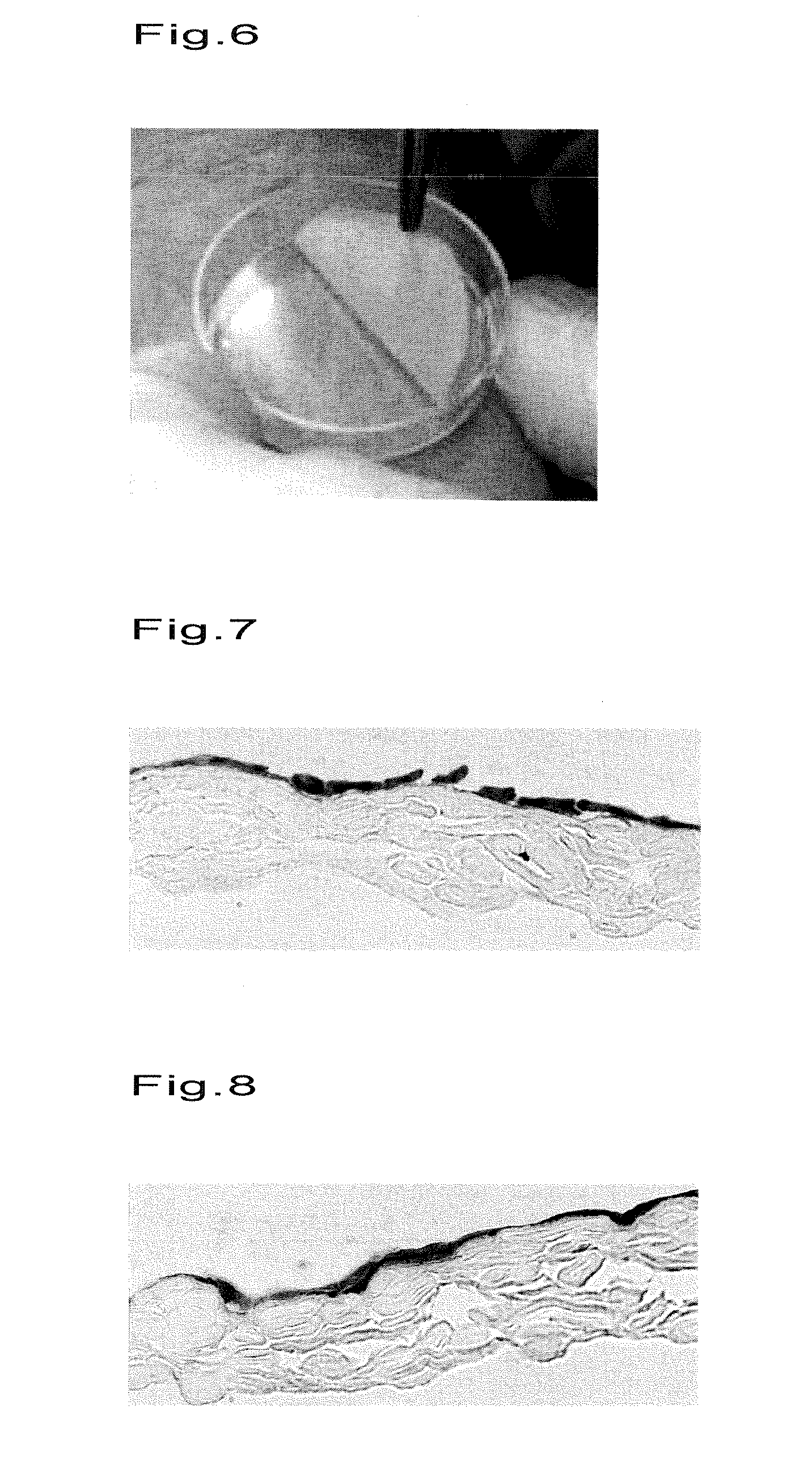 Islet cell sheet, process for production thereof, and use thereof