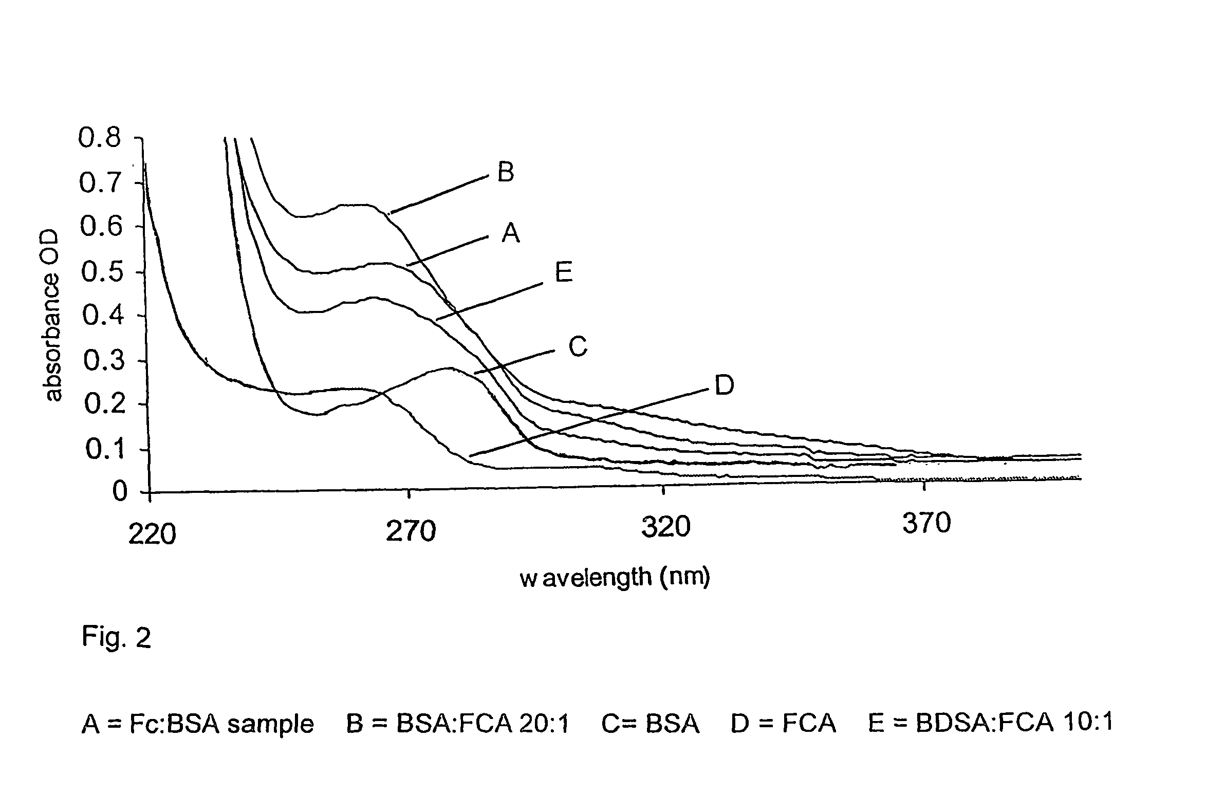 Protease detection assay