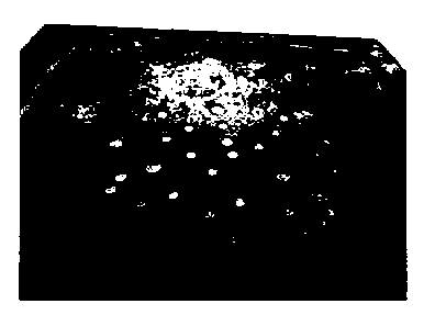 Inorganic calcium sulfate whisker heat retaining panel and preparation method thereof