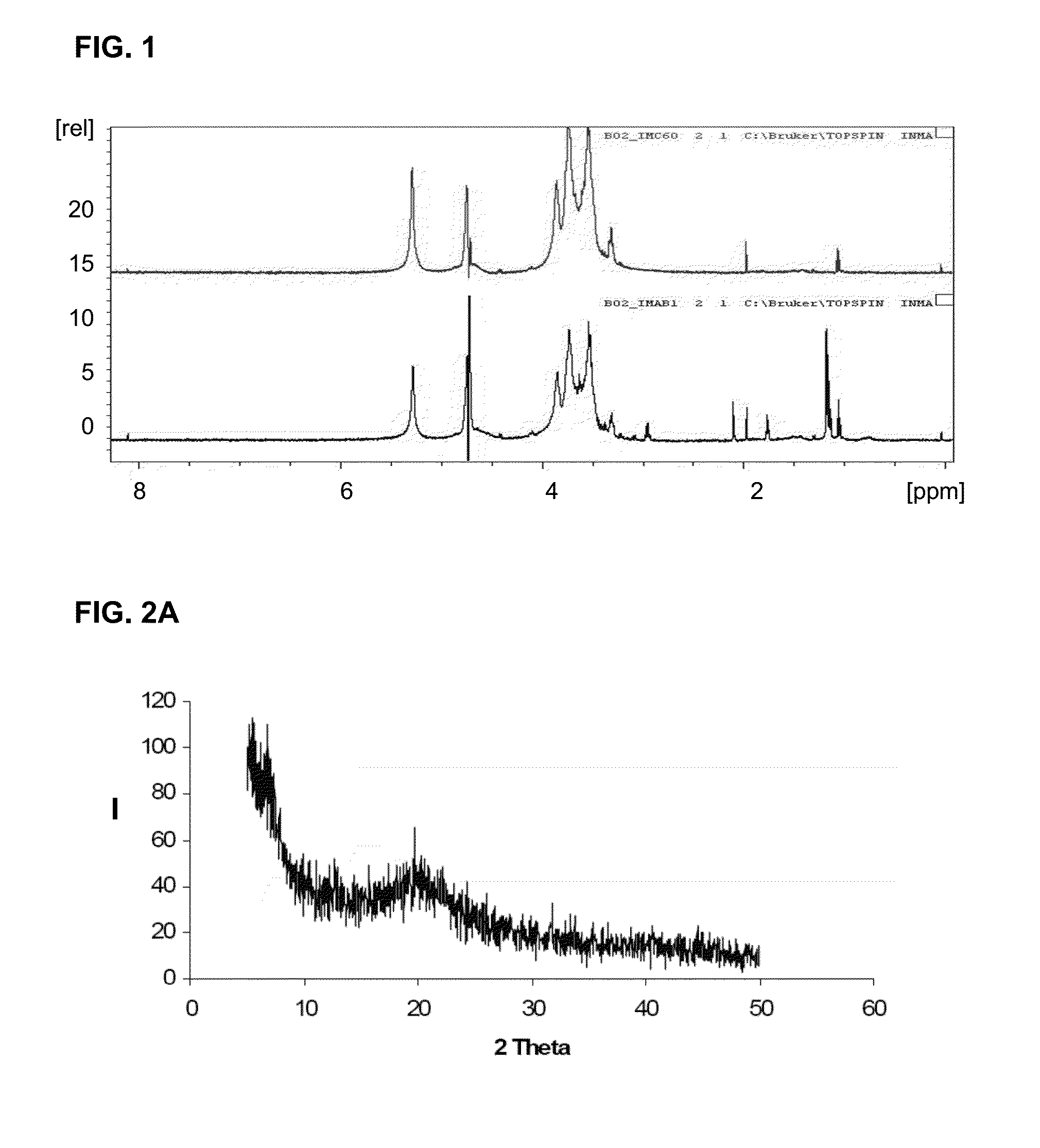 Fat binder obtained from biomass resulting from beer production