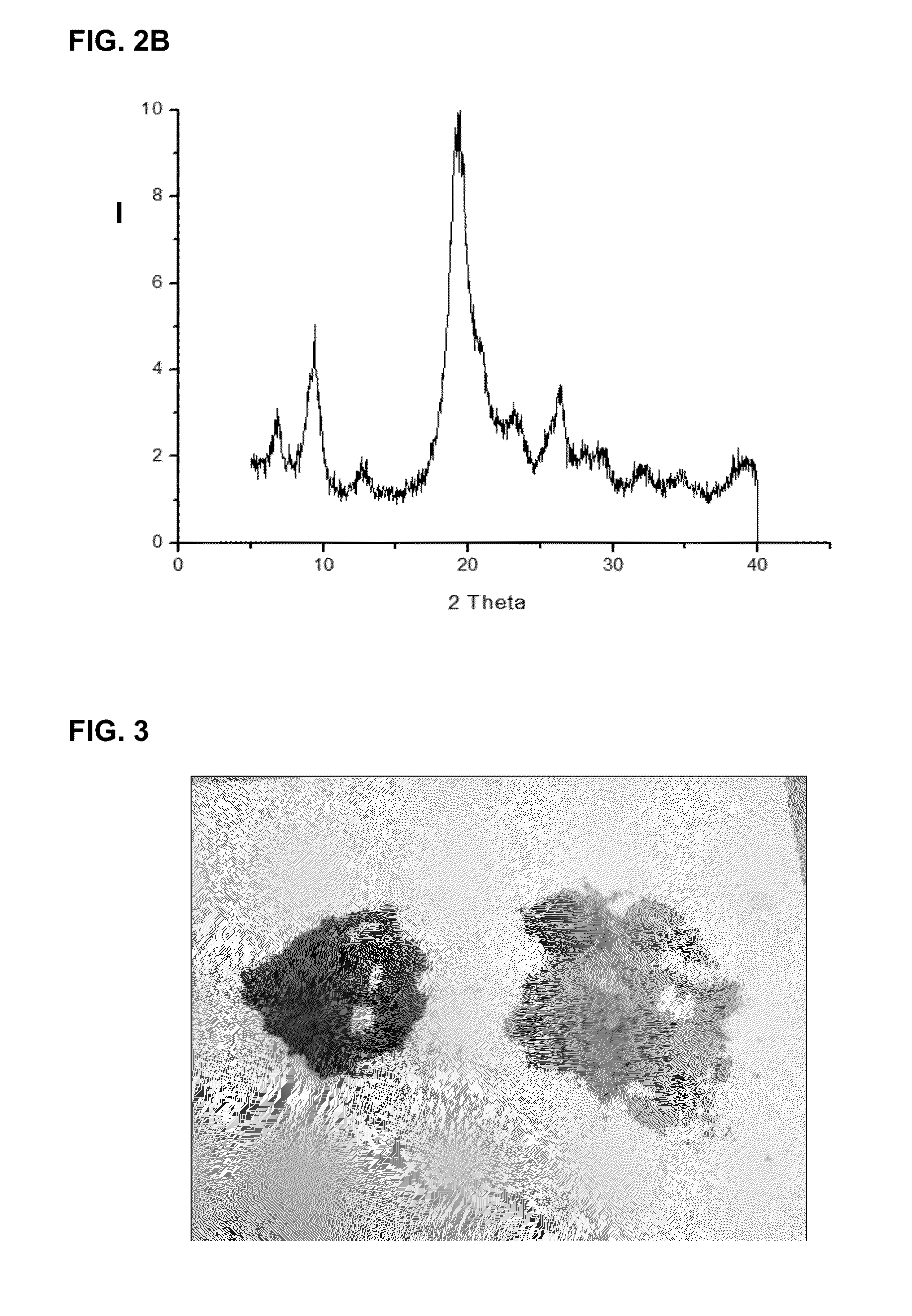 Fat binder obtained from biomass resulting from beer production