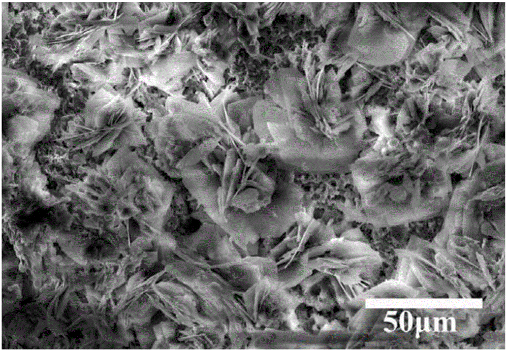 Double-layer super-hydrophobic material and preparation method thereof