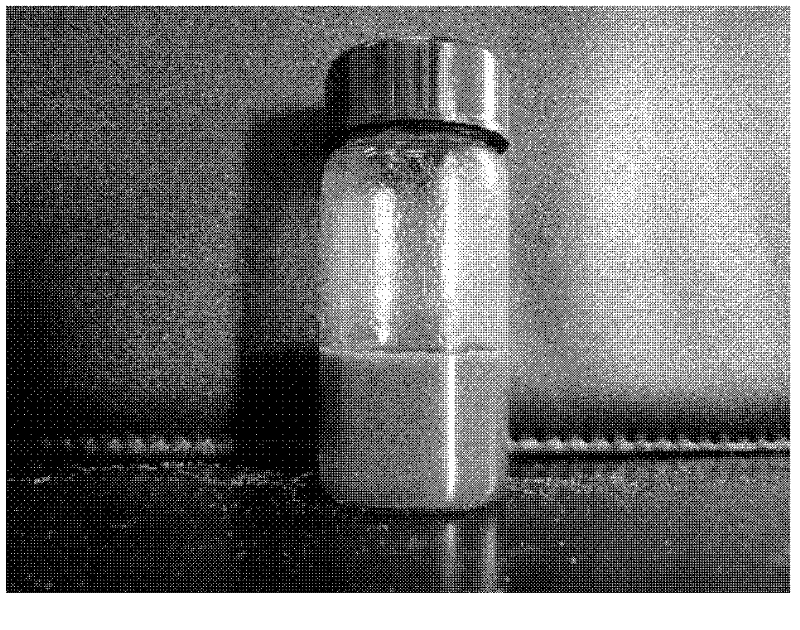 Method for modifying surface of high molecular weight polyethylene powder through interfacial polycondensation