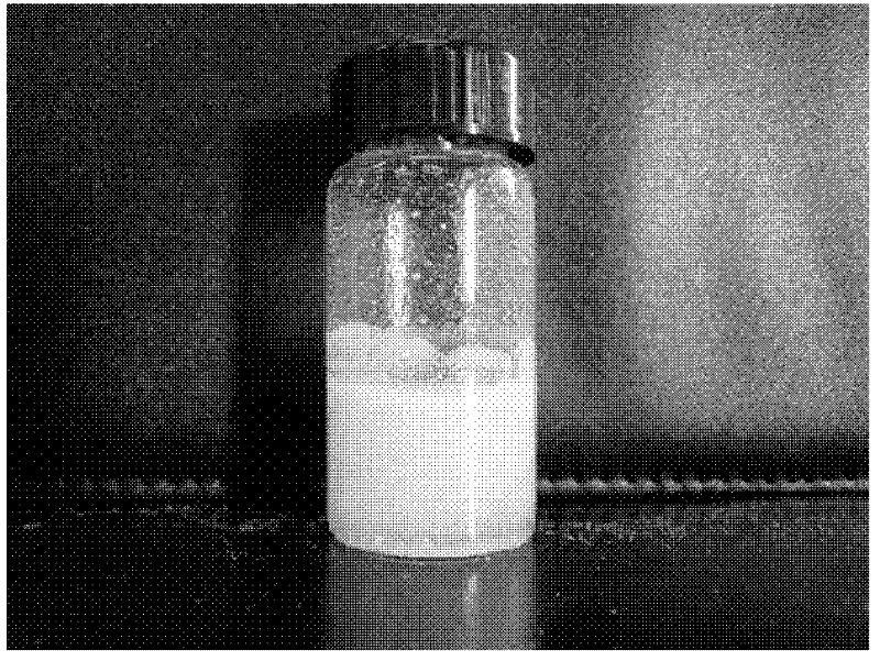 Method for modifying surface of high molecular weight polyethylene powder through interfacial polycondensation