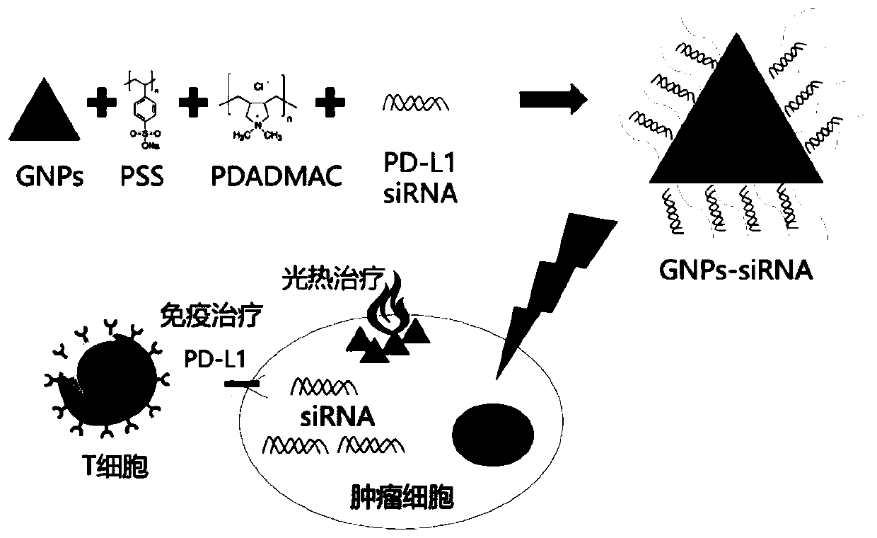 Multifunctional nano drug delivery carrier targeting lung cancer genes and preparation and application thereof