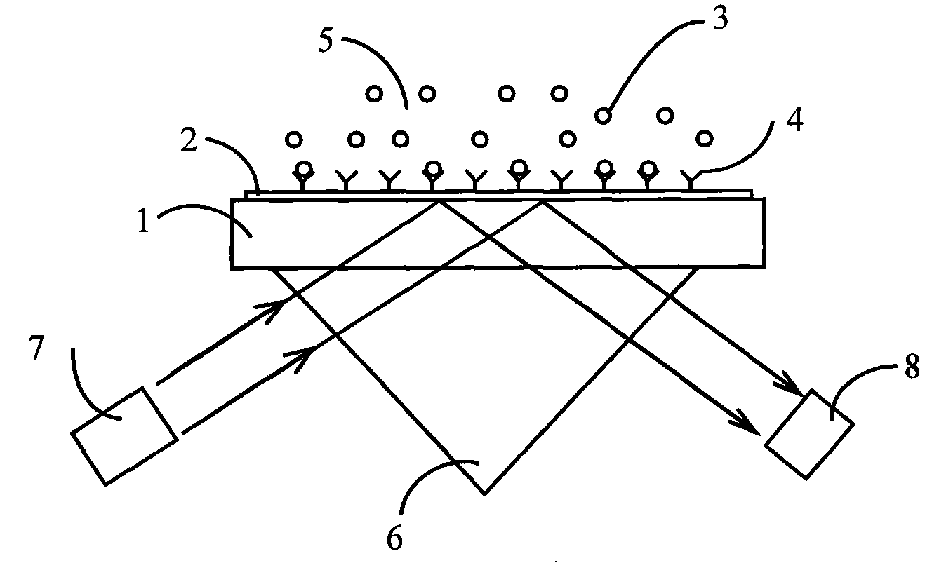 Waveguide coupling metal photonic crystal biosensor and detecting method thereof