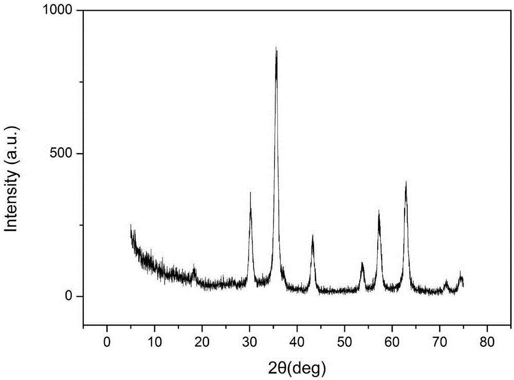 Folic acid targeted magnetic functionalized molybdenum disulfide medicine carrier and preparation method thereof