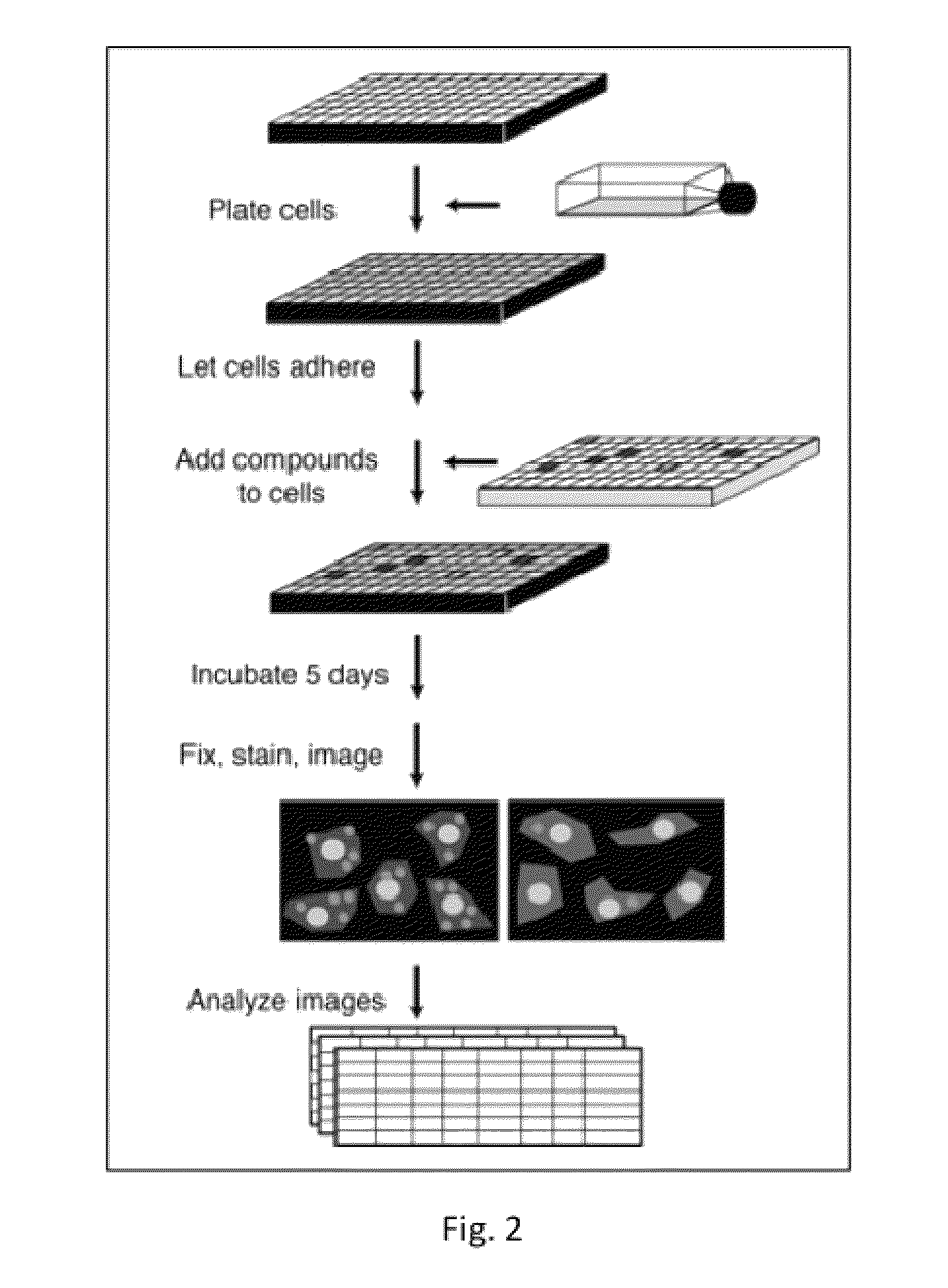 Methods employing wolbachia FtsZ as a target for albendazole sulfone