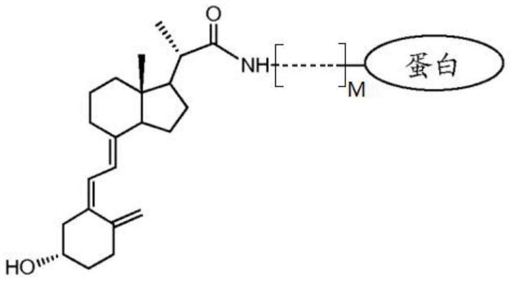 Immunodetection method of 25-hydroxyvitamin D and application of immunodetection method