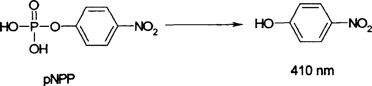 Preparation and use of compounds i.e., 1,3-dihydroxy-5-alkyl benzene as inhbitor of protein-tyrosine-phosphatase 1B