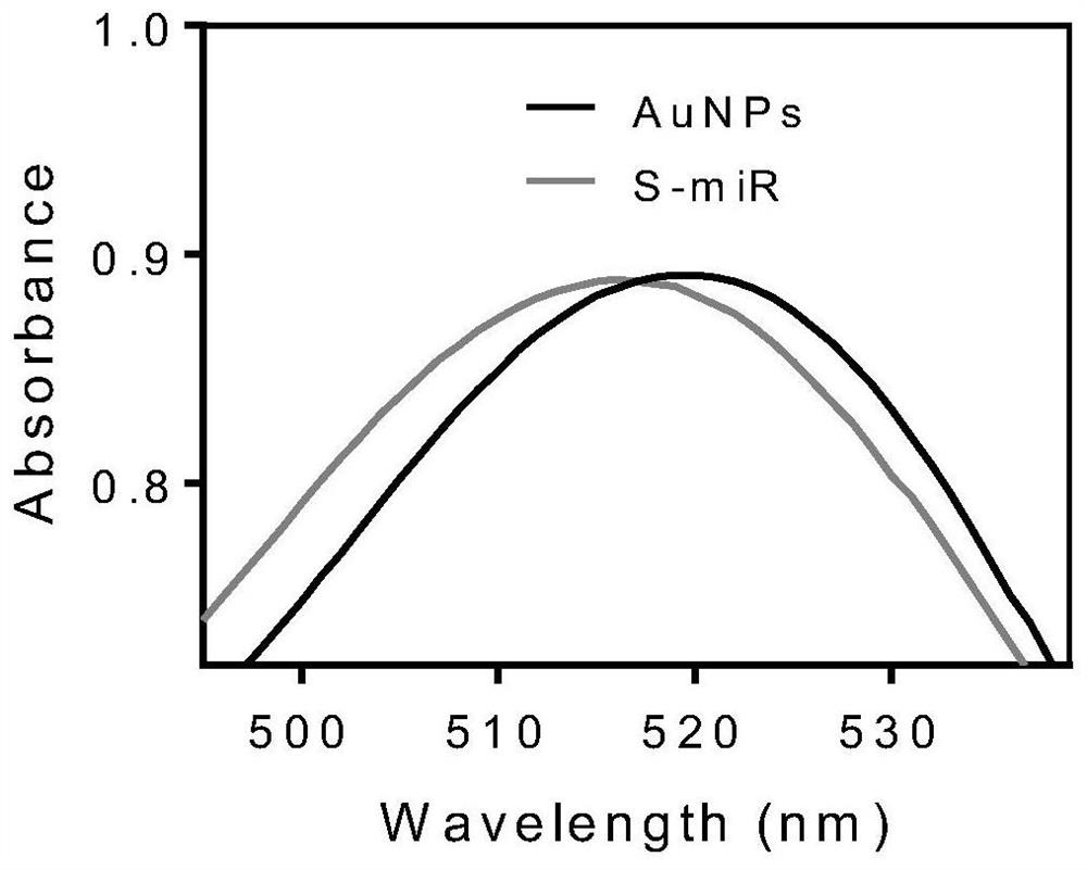 A kind of spherical microrna and its preparation method and application