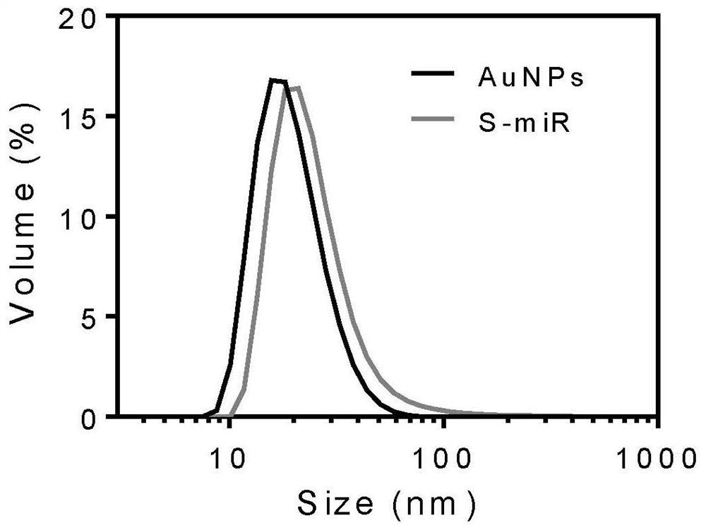 A kind of spherical microrna and its preparation method and application