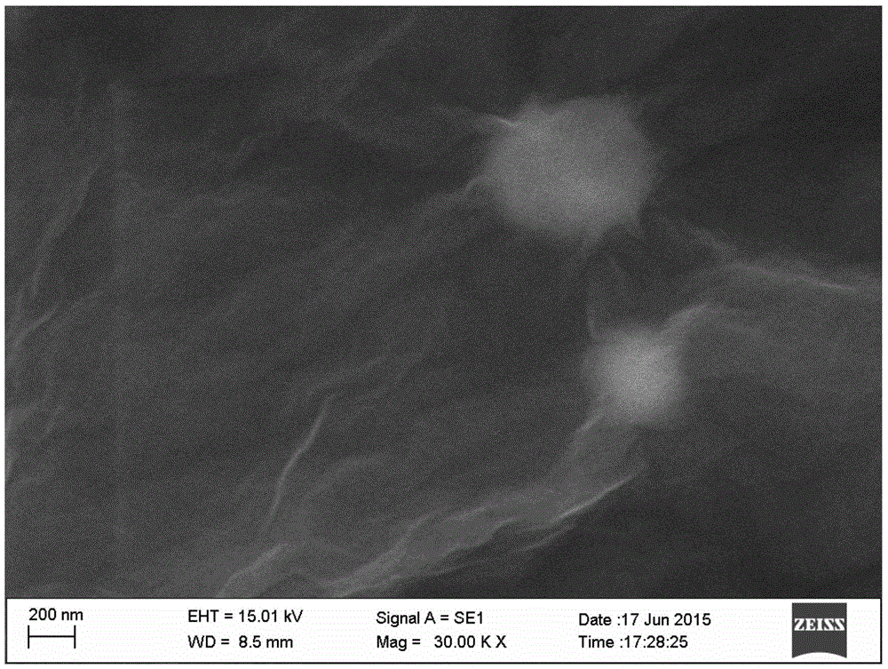 Uric acid detection electrochemical sensor and preparation and application thereof