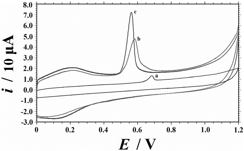 Uric acid detection electrochemical sensor and preparation and application thereof