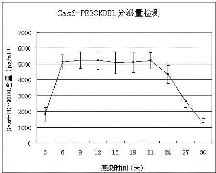 Stem cell preparation for resisting malignant melanoma and preparation method of stem cell preparation