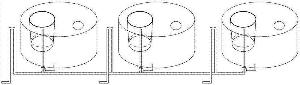 Exposure device for fish embryos and larva fish for long-term chronic toxicity tests