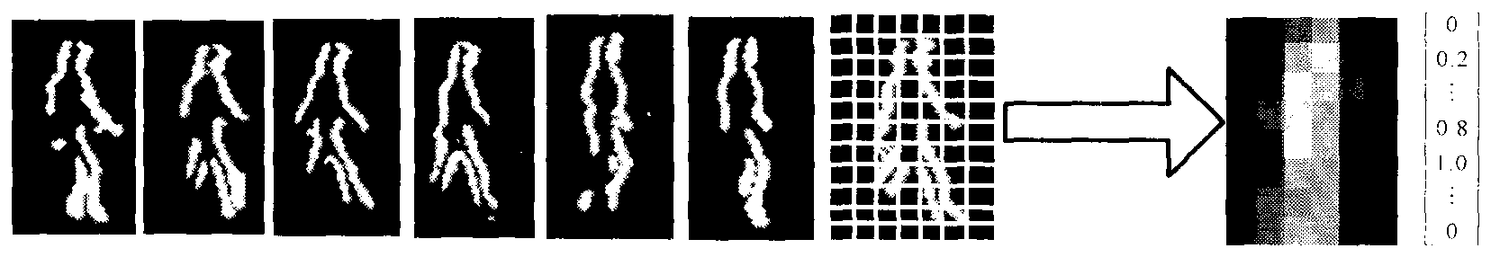 Behavior recognition method based on action subspace and weight behavior recognition model