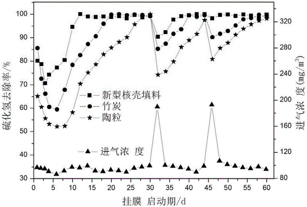 Novel core-shell structured biological filler and preparation method thereof