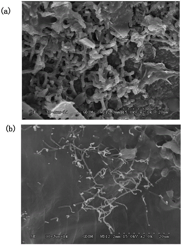 Novel core-shell structured biological filler and preparation method thereof