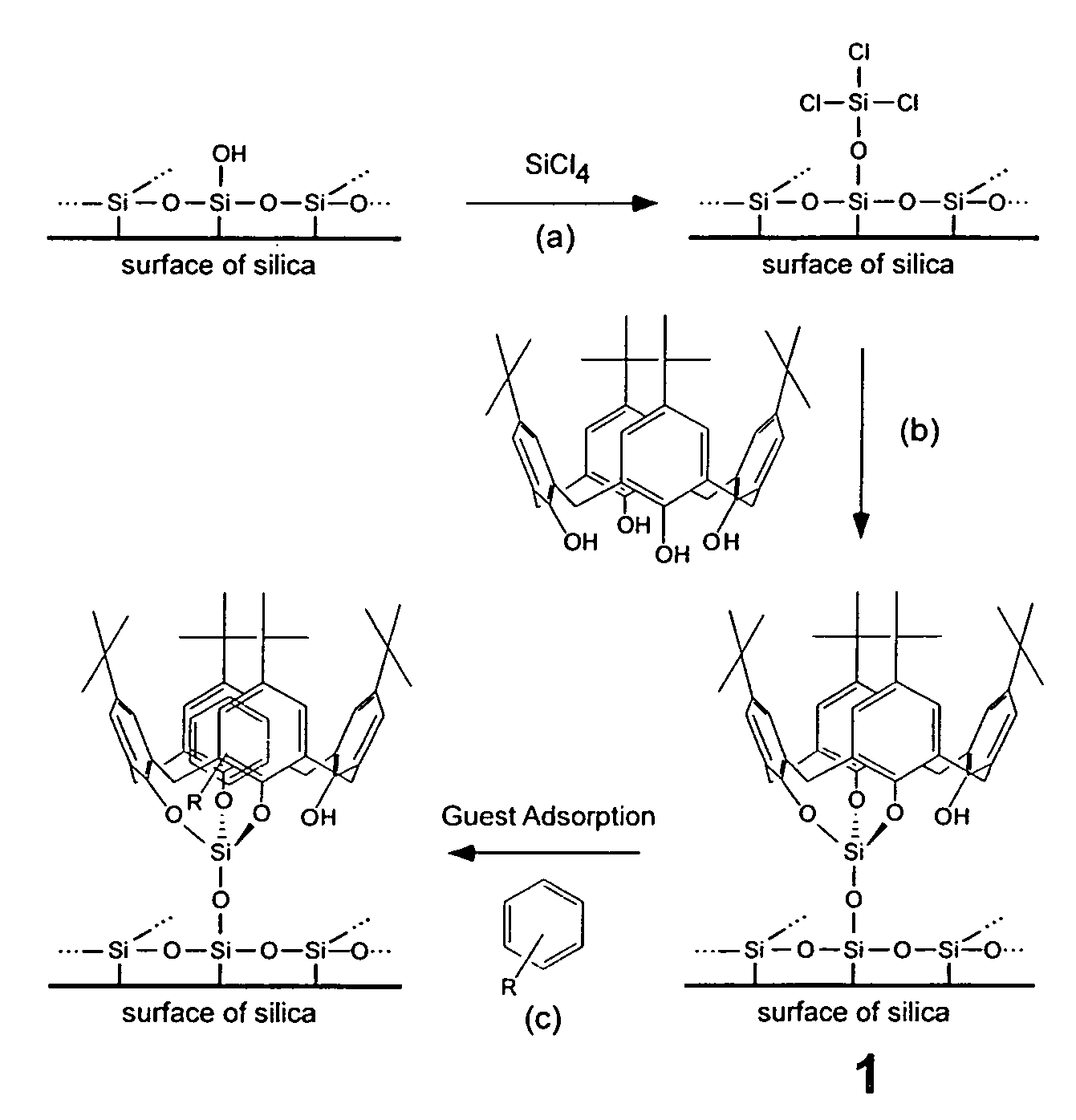 Novel immobilized calixarenes and related compounds and process for their production