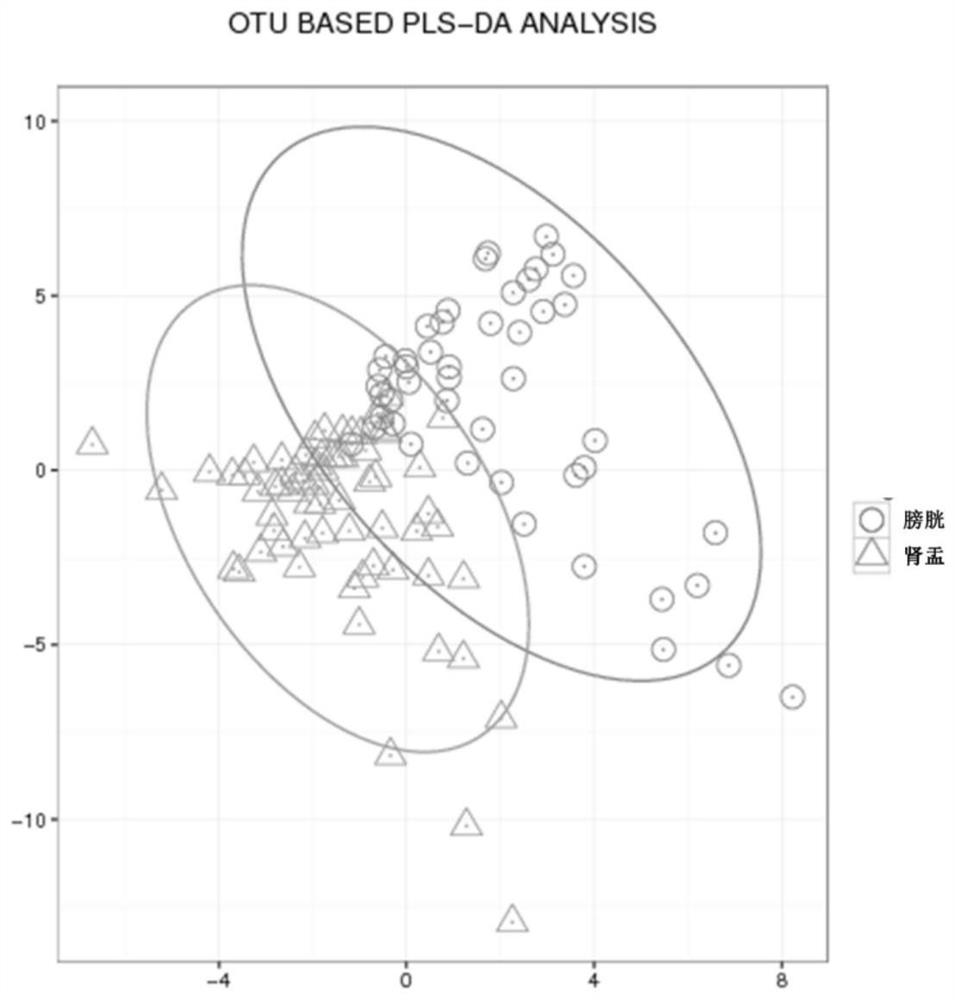 A method for collection and contamination verification of renal pelvis urine microecological specimens