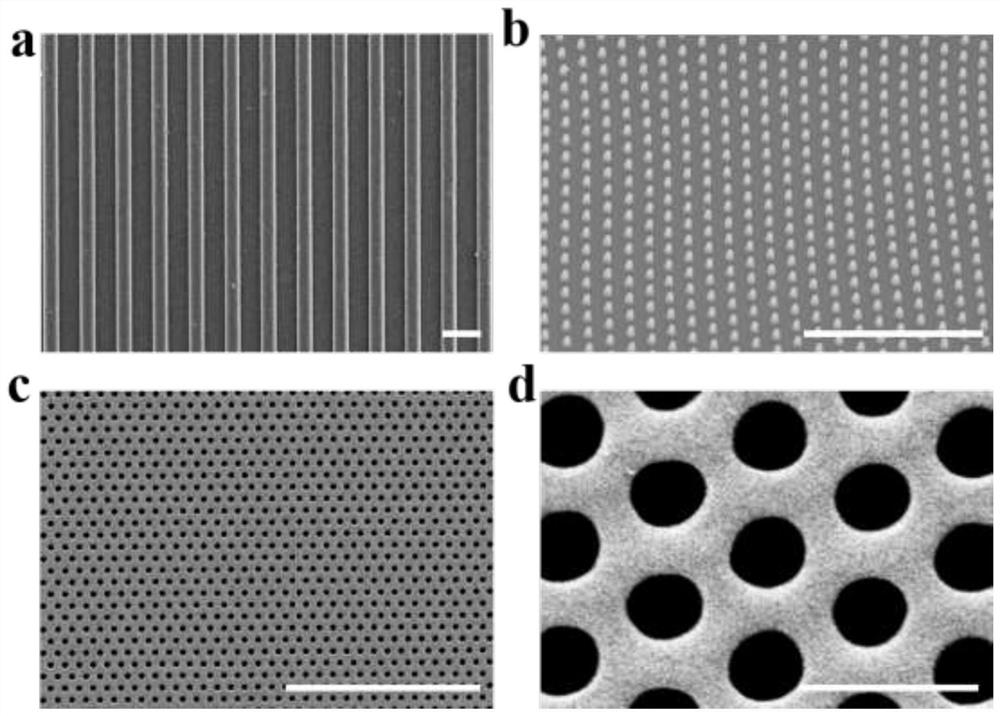 Preparation method of nanoimprint anisotropic graphene film