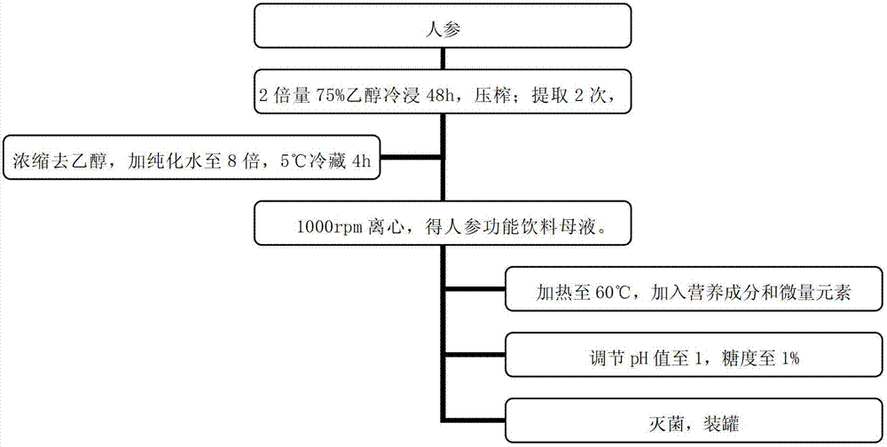 Ginseng functional drink, preparation method of ginseng functional drink and application of ginseng functional drink