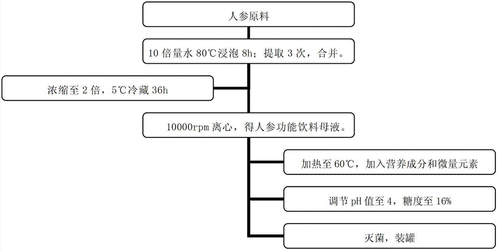 Ginseng functional drink, preparation method of ginseng functional drink and application of ginseng functional drink